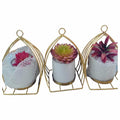 HG- WT007 - SOPORTES DECORATIVOS PARA SUCULENTAS (36/1)