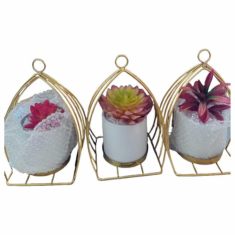 HG- WT007 - SOPORTES DECORATIVOS PARA SUCULENTAS (36/1)