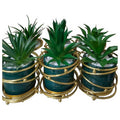 HG- WT008 - MACETA DECORATIVA CON SUCULENTA ARTIFICIAL (48/1)