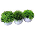 HG- WT021 - MACETAS CON PLANTAS ARTIFICIALES (288/1)