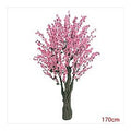 CC-AF-50 - ÁRBOL DECORATIVO DE DURAZNO 170 CM (10/1)