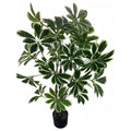 CC-AF-61 - PLANTA ARTIFICIAL CON MACETA (6/1)