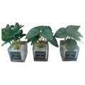 HG- WT063 - PLANTAS ARTIFICIALES EN MACETA DE VIDRIO (72/1)