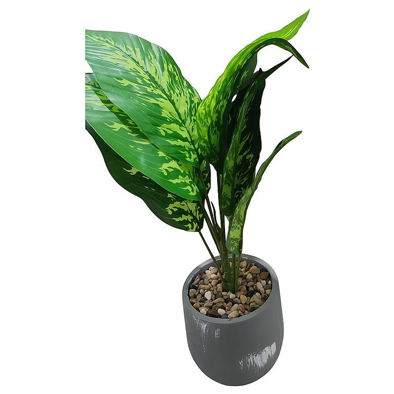 HG- WT067 - MACETA CON PLANTA DECORATIVA (12/1)