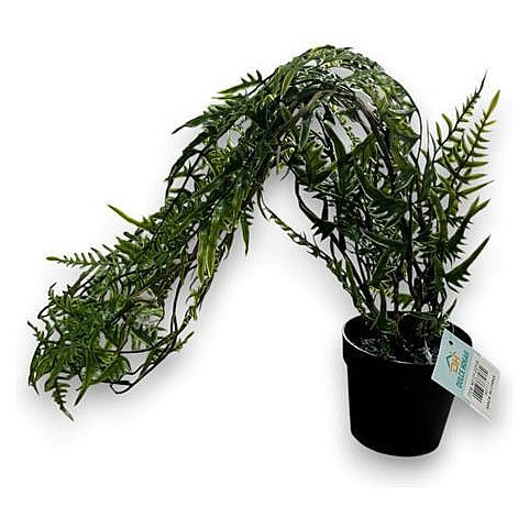 CF-DZF09 - PLANTA ARTIFICIAL DE HELECHO EN MACETA (144/1)