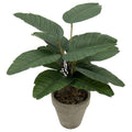 CF-DZF14 - PLANTA ARTIFICIAL EN MACETA (72/1)