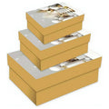 CF- XDW178 - SET DE CAJAS DE REGALO NAVIDEÑAS (36/1)