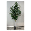 CF-EHF02 - PLANTA ARTIFICIAL DECORATIVA 1.75 M (4/1)