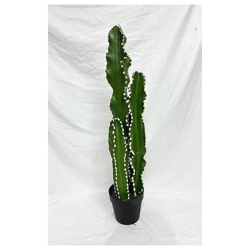 CF-EHF03 - PLANTA ARTIFICIAL DE CACTUS (4/1)