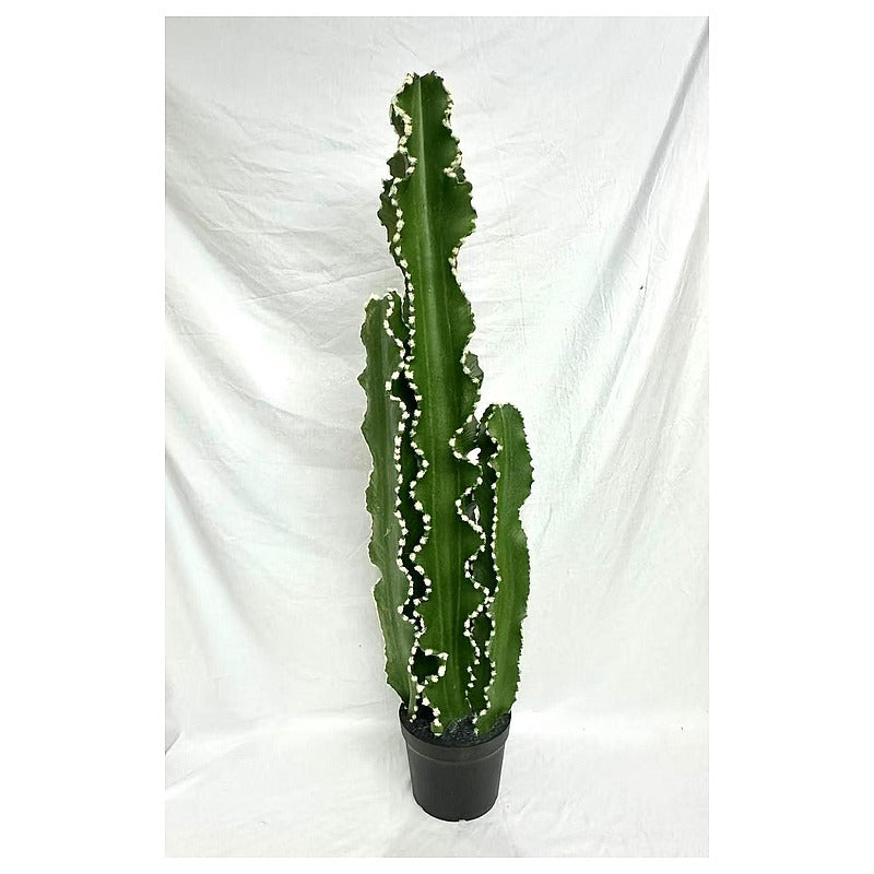 CF-EHF04 - PLANTA ORNAMENTAL CACTUS ARTIFICIAL (2/1)