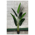 CF-EHF10 - PLANTA ARTIFICIAL DECORATIVA (6/1)