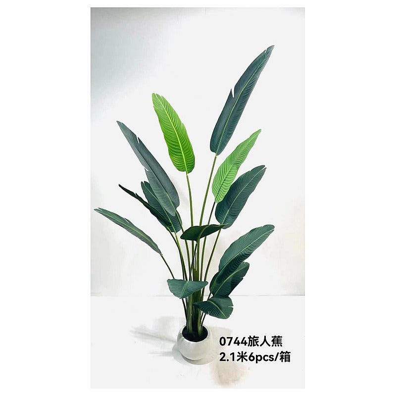 CF-EHF12 - PLANTA ARTIFICIAL DE HOJAS LARGAS 2.1 M (6/1)