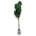 CF-ZYF09 - PLANTA ARTIFICIAL FICUS HOJA DE VIOLÍN (8/1)