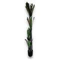 CF-ZYF15 - PLANTA DECORATIVA ARTIFICIAL ALTA (4/1)