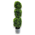 CF-ZYF18 - PLANTA ARTIFICIAL DE EUCALIPTO (4/1)