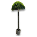CF-ZYF20 - PLANTA ARTIFICIAL DECORATIVA DE 85 CM (8/1)