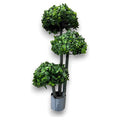 CF-ZYF25 - PLANTA ARTIFICIAL ÁRBOL DEL DINERO (4/1)