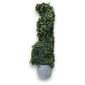 CF-ZYF31 - PLANTA ARTIFICIAL DECORATIVA EN ESPIRAL 65CM (2/1)