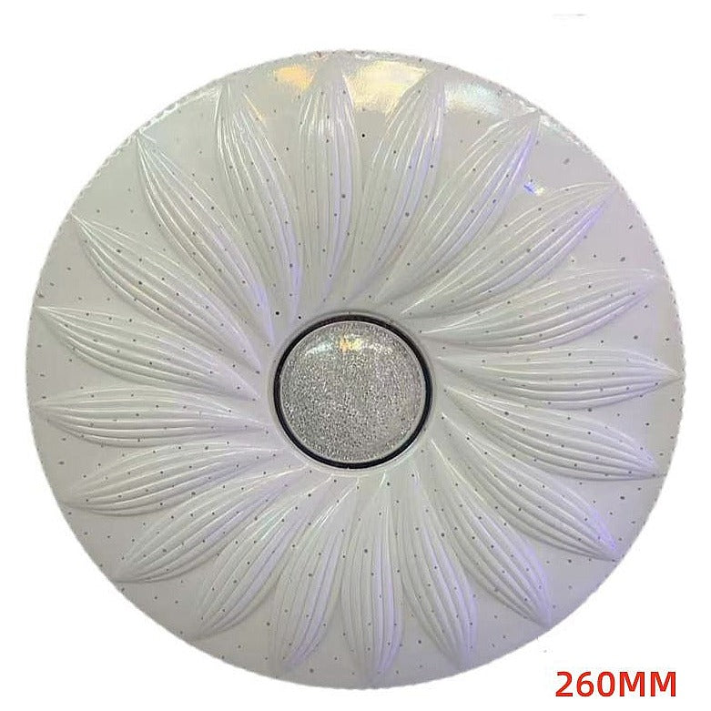 IP-XPL14 - PLAFÓN DECORATIVO 260MM (20/1)