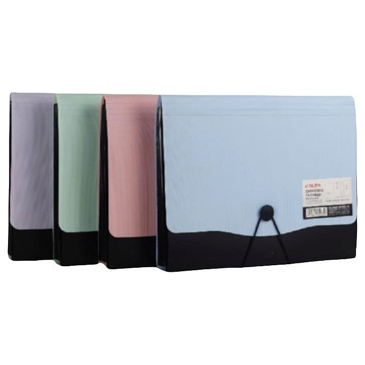 DLS-100 - CARPETA ORGANIZADORA CON 13 COMPARTIMENTOS (60/1)
