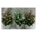 NW-SF36 - PLANTA DECORATIVA ARTIFICIAL EN MACETA (144/1)