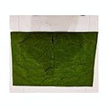 HG-DC-SP3 - PANEL DE MUSGO DECORATIVO (40/1)