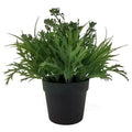KRF98 - PLANTA ARTIFICIAL EN MACETA (192/1)