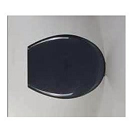 HG-JSH23 - TAPA DE INODORO NEGRA (12/1)