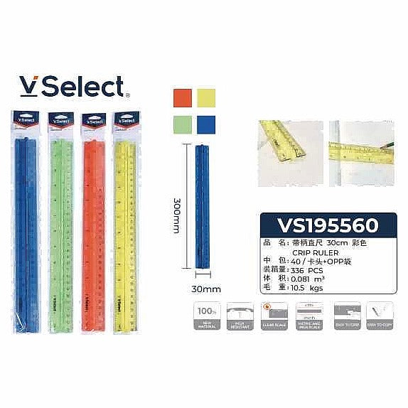 VS19556 0 - REGLA DE PLÁSTICO 30 CM CON MANGO (336/1)