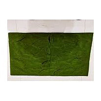 HG-DC-SP3 - ALFOMBRA DE MUSGO DECORATIVA (40/1)