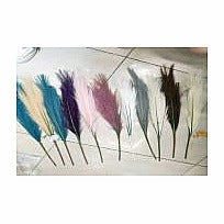 KR-SP24 - RAMILLETE DE PLUMAS DECORATIVAS (1200/1)