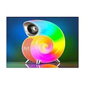 HS-BTY-HL - BOCINA BLUETOOTH CON LUZ LED (20/1)