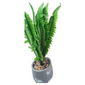 HG- WT070 - PLANTA ARTIFICIAL HELECHO EN MACETA (12/1)