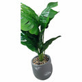 HG- WT068 - PLANTA ARTIFICIAL CON MACETA GRIS (12/1)